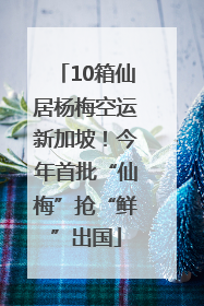 10箱仙居杨梅空运新加坡！今年首批“仙梅”抢“鲜”出国