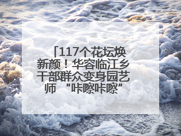 117个花坛焕新颜！华容临江乡干部群众变身园艺师 “咔嚓咔嚓”省下数万元
