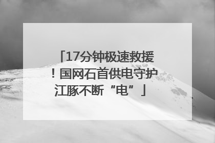 17分钟极速救援！国网石首供电守护江豚不断“电”
