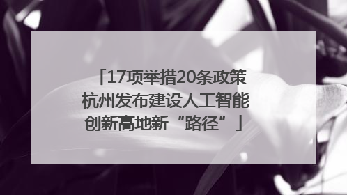 17项举措20条政策 杭州发布建设人工智能创新高地新“路径”