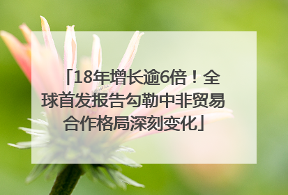 18年增长逾6倍！全球首发报告勾勒中非贸易合作格局深刻变化