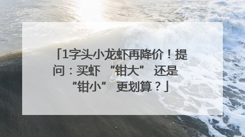 1字头小龙虾再降价！提问：买虾 “钳大” 还是 “钳小” 更划算？
