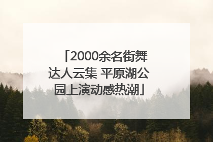 2000余名街舞达人云集 平原湖公园上演动感热潮