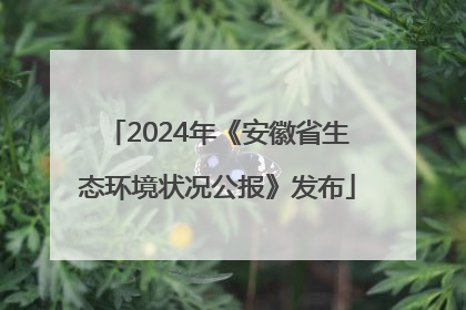 2024年《安徽省生态环境状况公报》发布