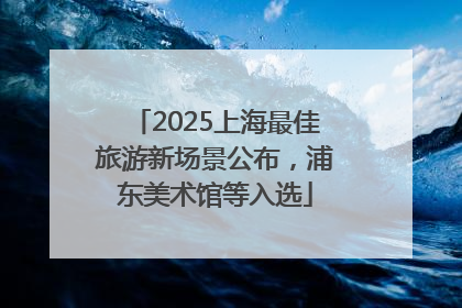 2025上海最佳旅游新场景公布，浦东美术馆等入选