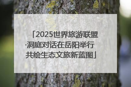 2025世界旅游联盟·洞庭对话在岳阳举行 共绘生态文旅新蓝图