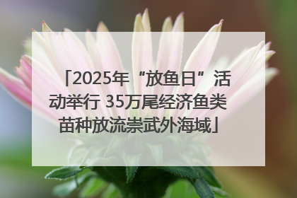 2025年“放鱼日”活动举行 35万尾经济鱼类苗种放流崇武外海域