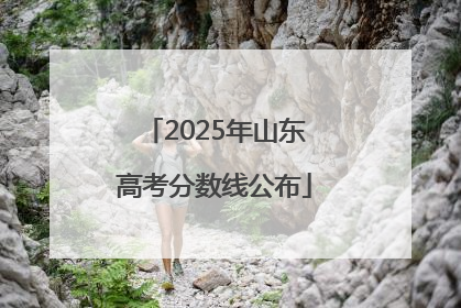 2025年山东高考分数线公布