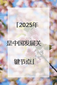 2025年是中国发展关键节点