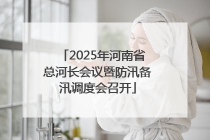 2025年河南省总河长会议暨防汛备汛调度会召开