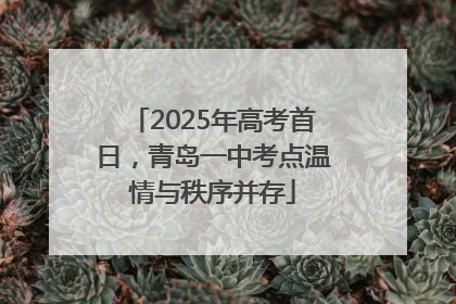 2025年高考首日，青岛一中考点温情与秩序并存