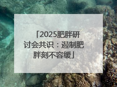 2025肥胖研讨会共识：遏制肥胖刻不容缓