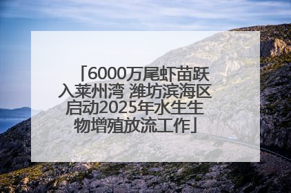 6000万尾虾苗跃入莱州湾 潍坊滨海区启动2025年水生生物增殖放流工作