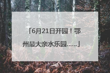 6月21日开园！鄂州最大亲水乐园……