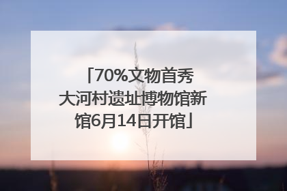 70%文物首秀 大河村遗址博物馆新馆6月14日开馆