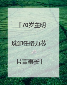 70岁董明珠卸任格力芯片董事长