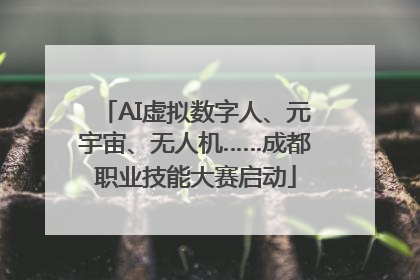 AI虚拟数字人、元宇宙、无人机……成都职业技能大赛启动