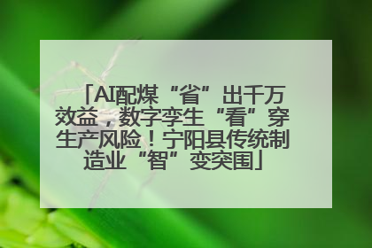 AI配煤“省”出千万效益，数字孪生“看”穿生产风险！宁阳县传统制造业“智”变突围