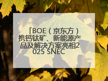 BOE（京东方）携钙钛矿、新能源产品及解决方案亮相2025 SNEC 科技创新赋能行业绿色发展