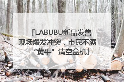 LABUBU新品发售现场爆发冲突，市民不满“黄牛”清空盒机
