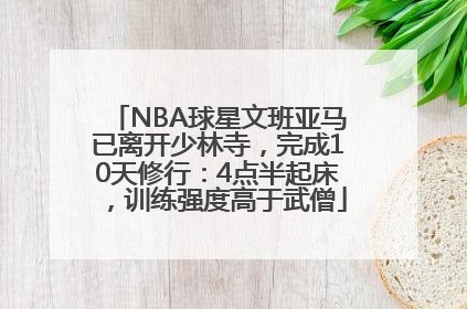 NBA球星文班亚马已离开少林寺，完成10天修行：4点半起床，训练强度高于武僧