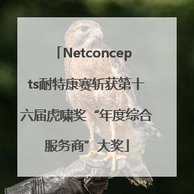 Netconcepts耐特康赛斩获第十六届虎啸奖“年度综合服务商”大奖