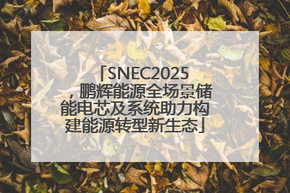 SNEC2025，鹏辉能源全场景储能电芯及系统助力构建能源转型新生态