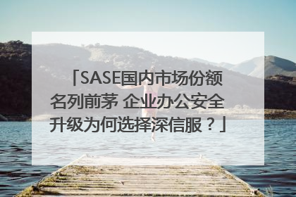 SASE国内市场份额名列前茅 企业办公安全升级为何选择深信服？